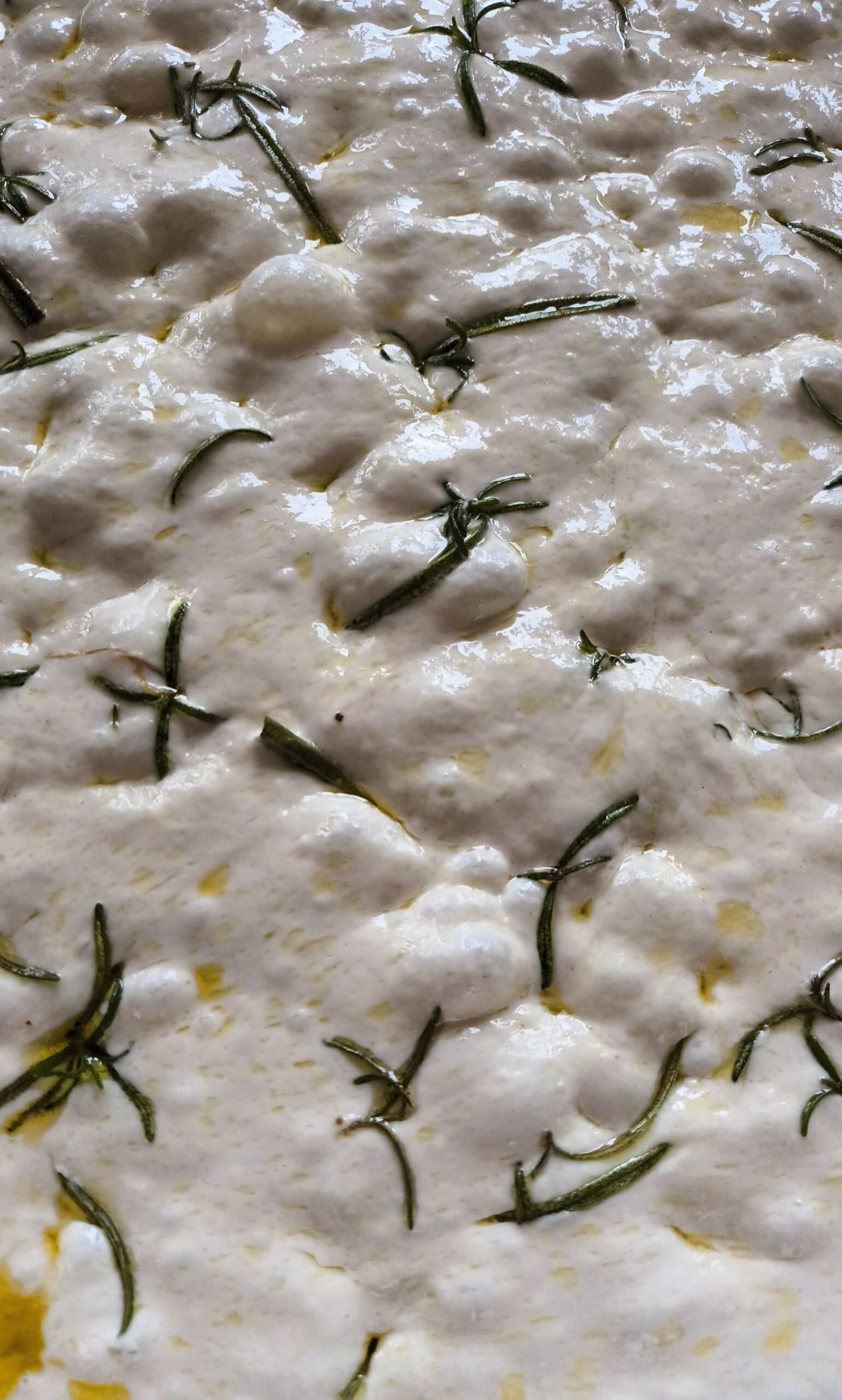 Focaccia mit Sauerteig