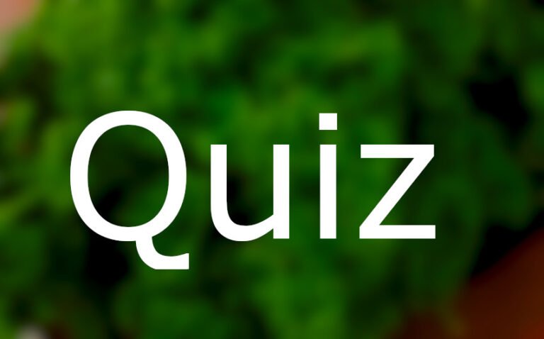 Gewürzquiz