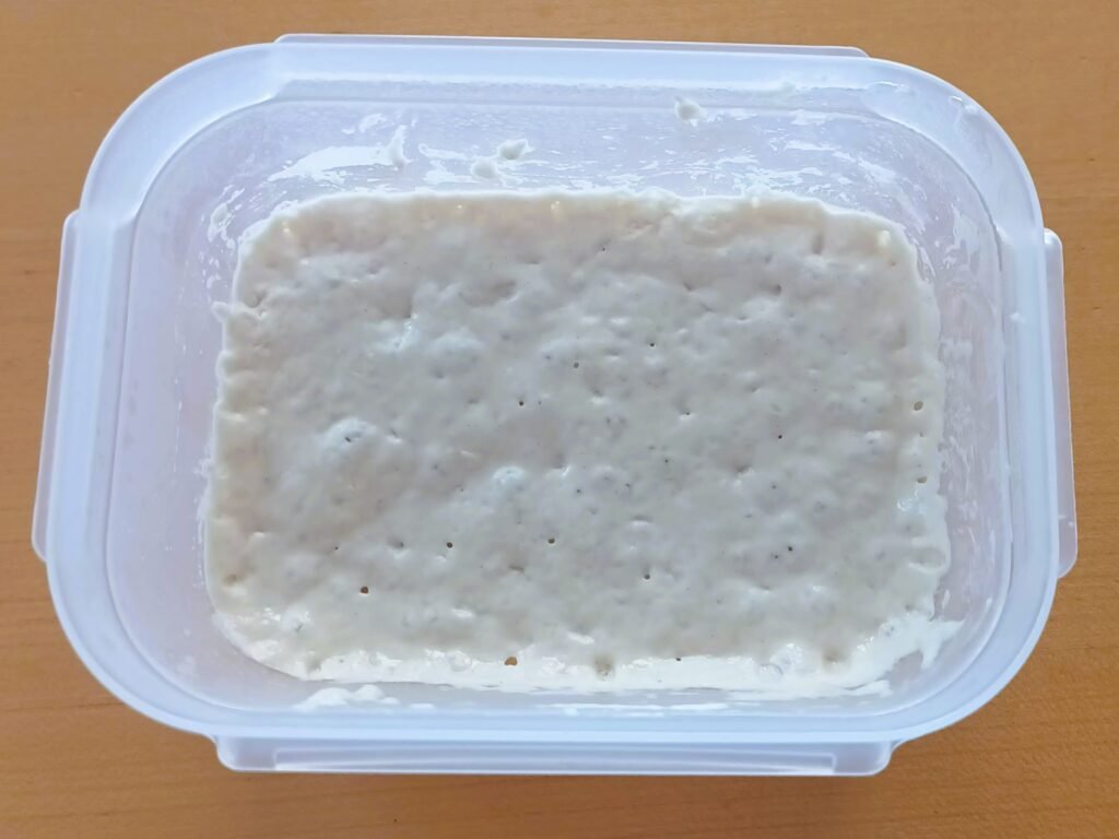 Poolish nach 24 Stunden