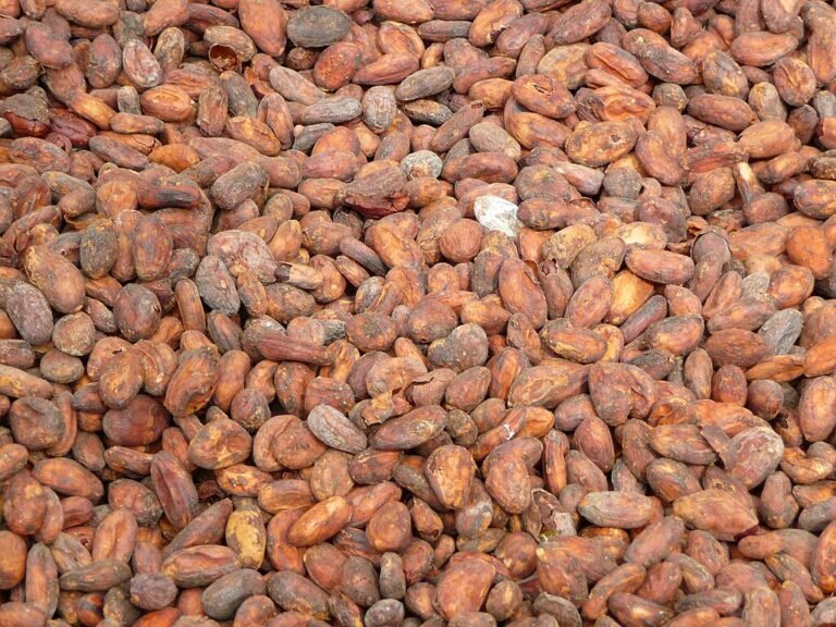 Die Schokolade kommt nach Spanien