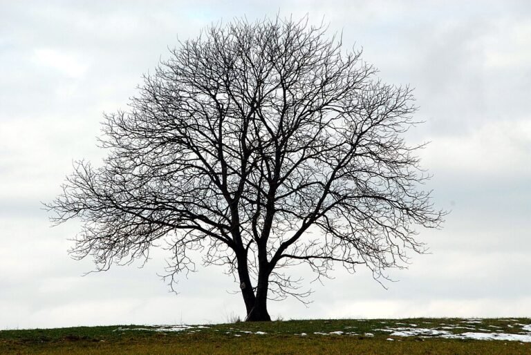 Rätsel zum 9. Dezember