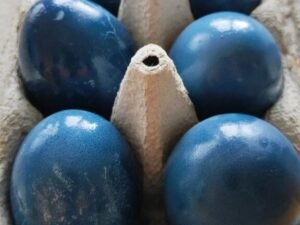 Ostereier natürlich mit Blaukraut färben