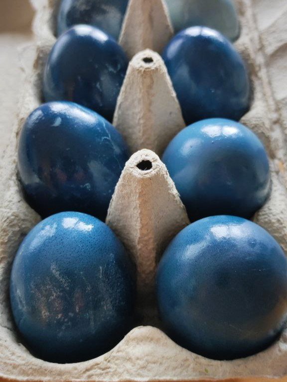 Ostereier natürlich mit Blaukraut färben