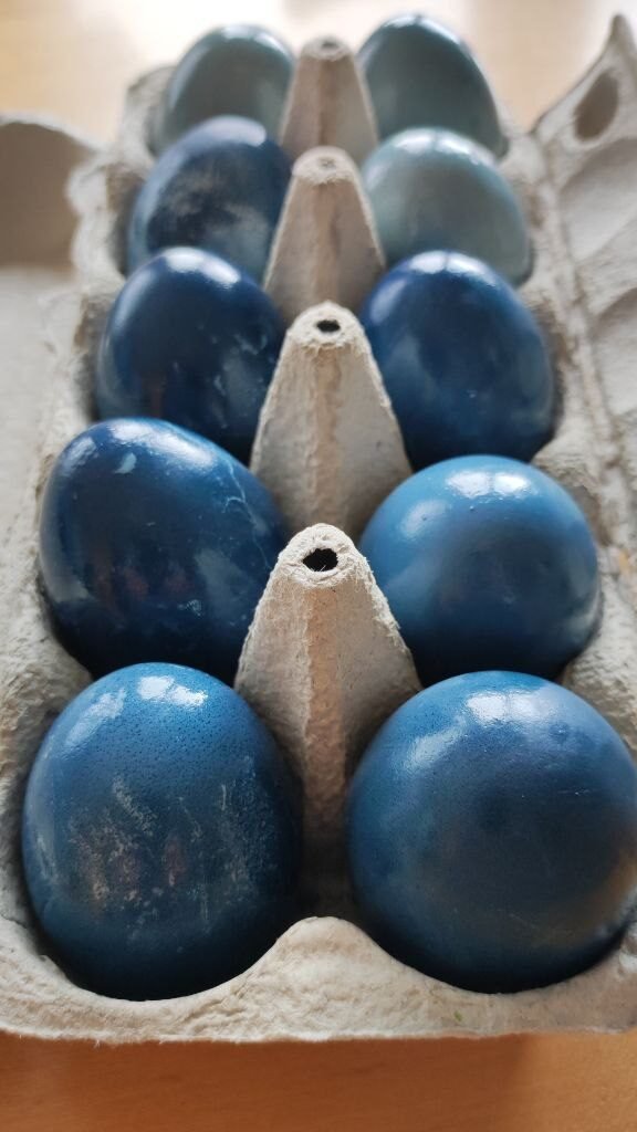Ostereier natürlich mit Blaukraut färben